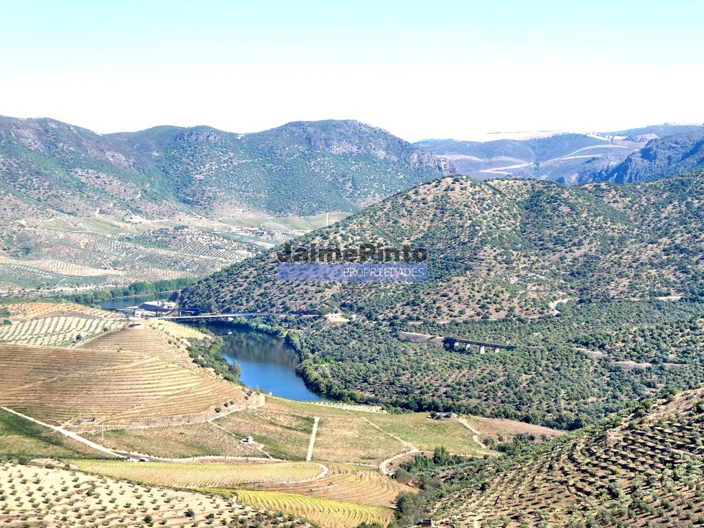 Terreno agricola