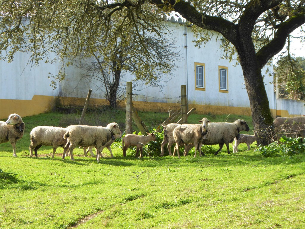 Moradia isolada
