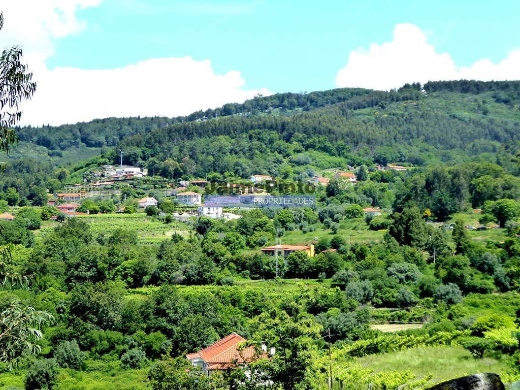 ST - PONTE DE LIMA