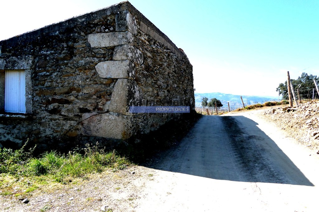 Terreno agricola