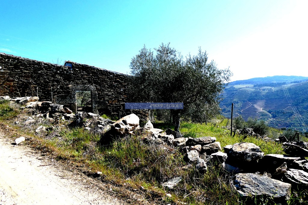 Terreno agricola
