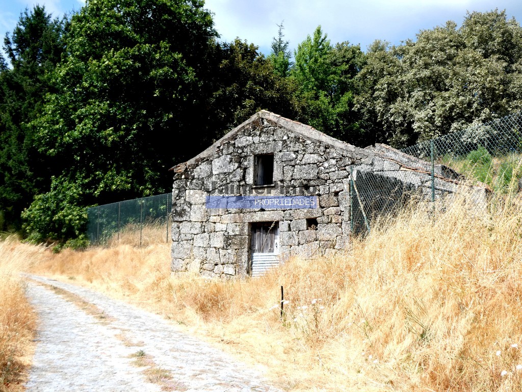 Quinta