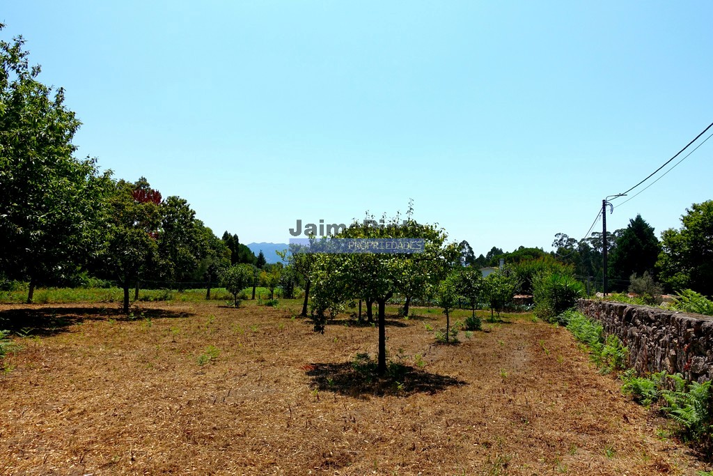 Quintinha